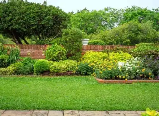 landscaping services Barker Heights